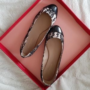 Pink with Black Lace Ballet Flats